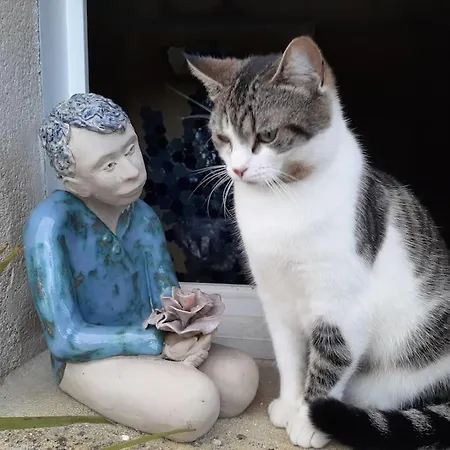 Maison D'artiste شقة